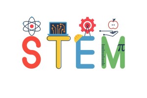 canstockphoto36568604 STEM